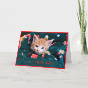 Cartes Pour Fêtes Annuelles Cat Vert Vacances Orange Kitten