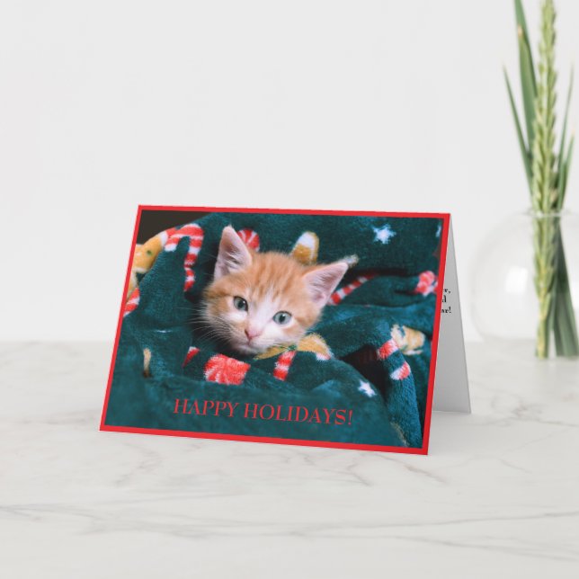 Cartes Pour Fêtes Annuelles Cat Vert Vacances Orange Kitten (Devant)