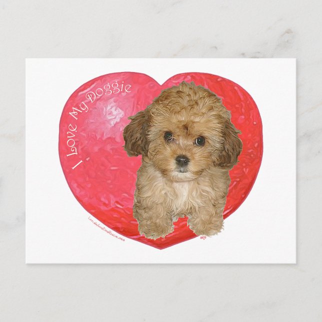 Cartes Pour Fêtes Annuelles Cavachon Valentine (Devant)