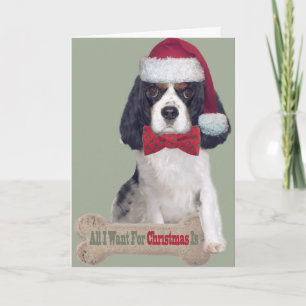 Cartes Pour Fêtes Annuelles Cavalier King Charles Baisers Pour Noël