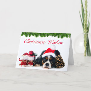 Cartes Pour Fêtes Annuelles Cavalier King Charles Spaniel Chien Noël