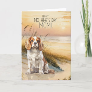Cartes Pour Fêtes Annuelles Cavalier King Charles Sunset Beach Fête des Mères
