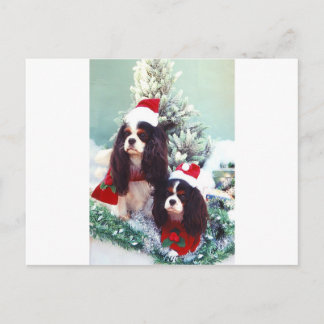 Cartes Pour Fêtes Annuelles Cavaliers à Noël