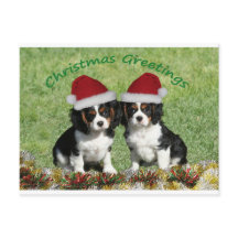 Cavaliers À Santa Hats