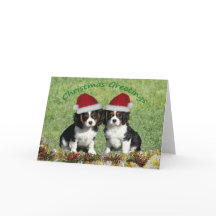 Cavaliers À Santa Hats