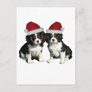 Cartes Pour Fêtes Annuelles Cavaliers de Noël