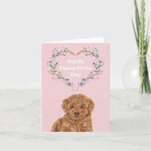 Cartes Pour Fêtes Annuelles Cavoodle Cavapoo Mix Poodle Chien Chien Chien Vale