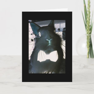 CARTES POUR FÊTES ANNUELLES CE BUNNY CRAZY SIGNIFIE "AFFAIRES" **HAPPY EASTER*