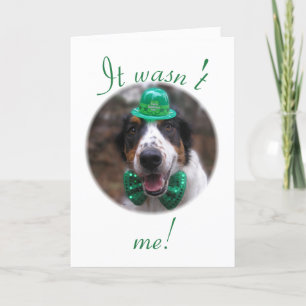 Cartes Pour Fêtes Annuelles "Ce n'était pas moi !"
