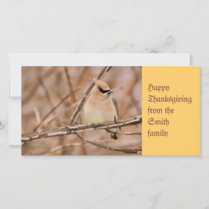 Cartes Pour Fêtes Annuelles Cèdre ciré en automne