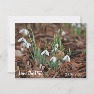 Cartes Pour Fêtes Annuelles Célébration de la chute de neige blanche Enregistr