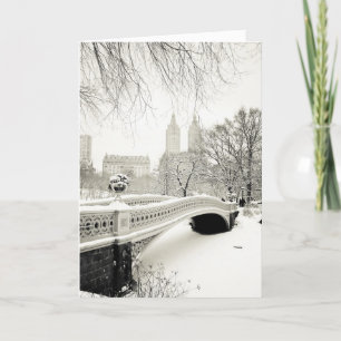 Cartes Pour Fêtes Annuelles Central Park - vacances de New York