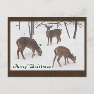Cartes Pour Fêtes Annuelles Cerf blanc dans Snowy Woods - Joyeux Noël