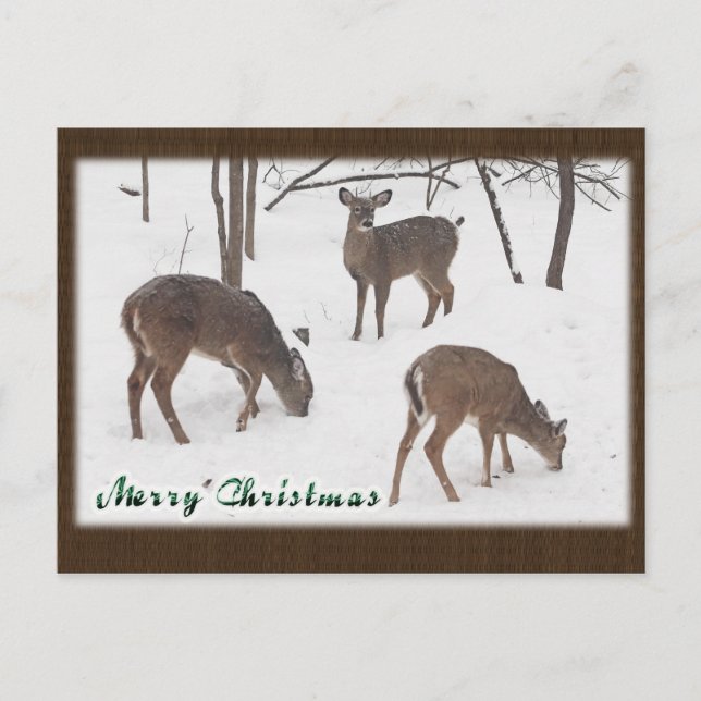 Cartes Pour Fêtes Annuelles Cerf blanc dans Snowy Woods - Joyeux Noël (Devant)
