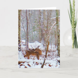 Cartes Pour Fêtes Annuelles Cerf dans la neige, lécher la jambe