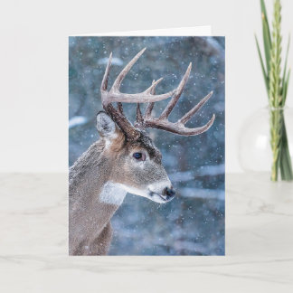 Cartes Pour Fêtes Annuelles Cerf de Noël