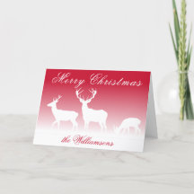 Cerfs Blancs d'Hiver