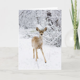 Cartes Pour Fêtes Annuelles Cerfs communs de Noël