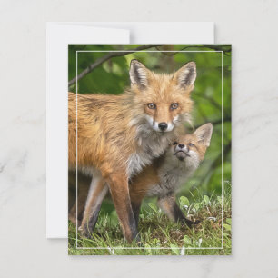Cartes Pour Fêtes Annuelles C'est mon père