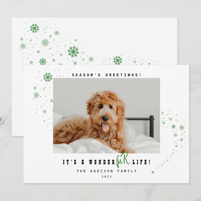Cartes Pour Fêtes Annuelles C'est une merveilleFUR Vie animal de compagnie pho (Devant / Derrière)