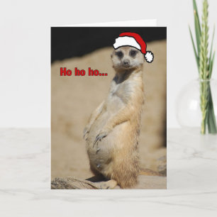 Cartes Pour Fêtes Annuelles Cette femme enceinte Meerkat Père Noël Momma