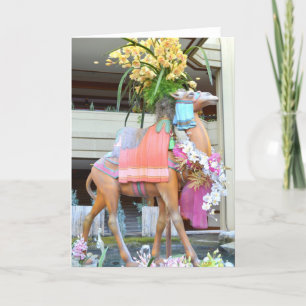 Cartes Pour Fêtes Annuelles Chameau Carrousel de Noël