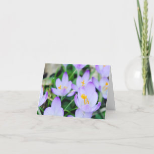 Cartes Pour Fêtes Annuelles Champ de crocus de printemps