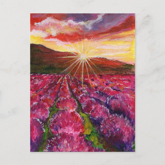 Cartes Pour Fêtes Annuelles Champ de Lavande Rose France Provence (Devant)