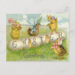 Cartes Pour Fêtes Annuelles Champ de poussins d'oeufs de Pâques
