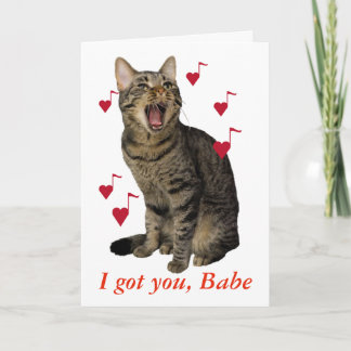 Cartes Pour Fêtes Annuelles Chant de chat de Saint-Valentin