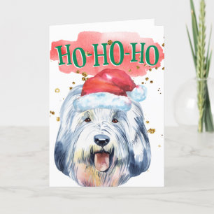 Cartes Pour Fêtes Annuelles Chapeau de Santa drôle de chien de berger anglais 