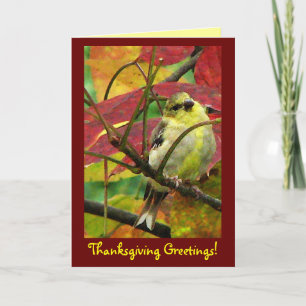 Cartes Pour Fêtes Annuelles Chardonneret dans le thanksgiving d'automne