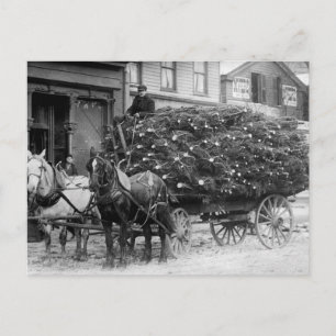 Cartes Pour Fêtes Annuelles Chargement des arbres de Noël, 1910