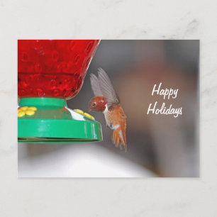 Cartes Pour Fêtes Annuelles Chargeur de colibri et colibri volants