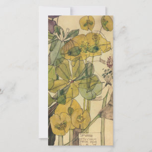 Cartes Pour Fêtes Annuelles Charles Rennie Mackintosh - Spurge With Yham 1909