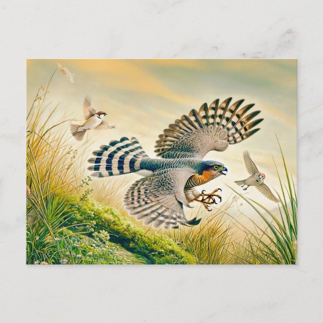 Cartes Pour Fêtes Annuelles Chasse à l'épervier dans l'prairie (Devant)