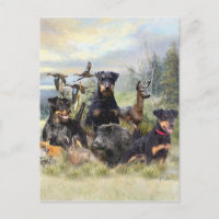 Chasse avec Jagdterriers, Art