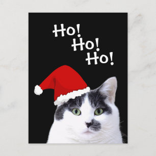 Cartes Pour Fêtes Annuelles Chat à Santa Hat Holiday