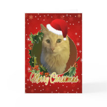 Chat Adorable Avec Chapeau De Père Noël Noël