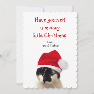 Cartes Pour Fêtes Annuelles Chat avec Casquette Père Noël