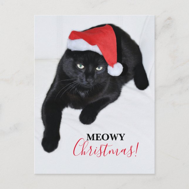 Cartes Pour Fêtes Annuelles Chat avec le chapeau du Père Noël Rouge (Devant)