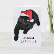 Chat avec le chapeau rouge de Père Noël