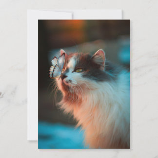 Cartes Pour Fêtes Annuelles Chat avec papillon sur le nez