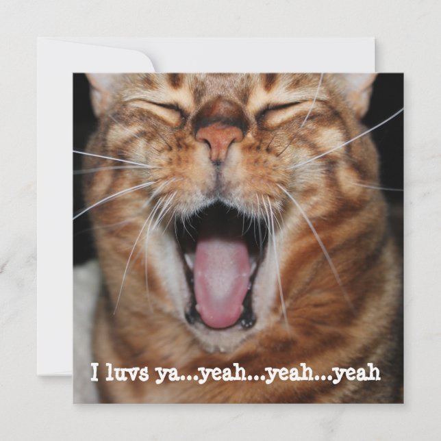 Cartes Pour Fêtes Annuelles Chat Bengal chantant anniversaire Saint Valentin f (Devant)