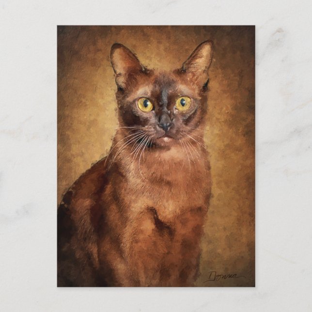 Cartes Pour Fêtes Annuelles Chat birman Brown (Devant)