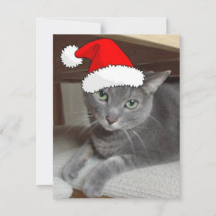 Cartes Pour Fêtes Annuelles Chat bleu russe de Noël