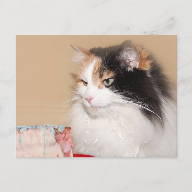 Cartes Pour Fêtes Annuelles Chat calico mange du gâteau d'anniversaire (Devant)