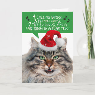 Cartes Pour Fêtes Annuelles Chat Chantant Drôle - Les 12 Jours De Noël