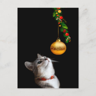 Cartes Pour Fêtes Annuelles Chat chaton testé Noël