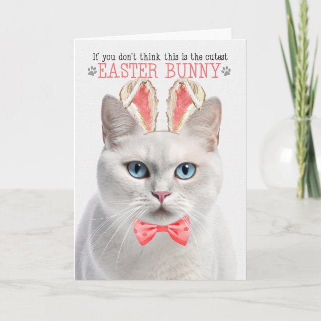 Cartes Pour Fêtes Annuelles Chat court blanc coupe lapin de Pâques Kits (Devant)